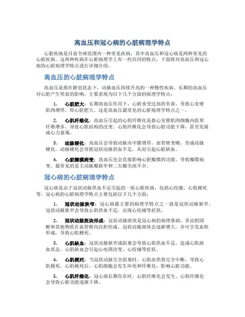 高血压和冠心病的心脏病理学特点