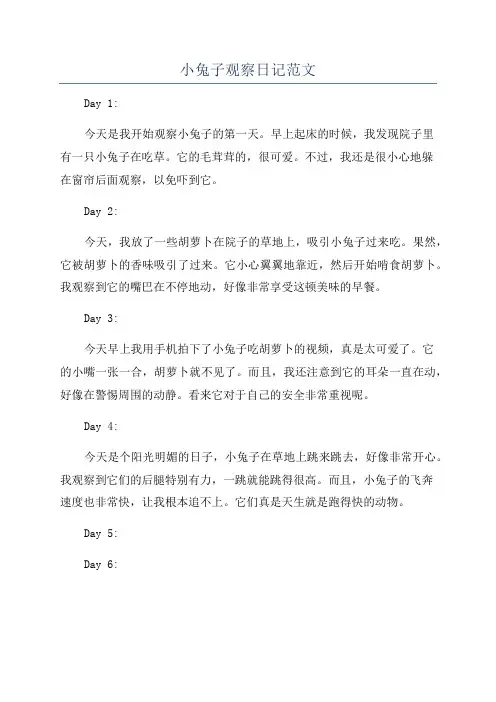 小兔子观察日记范文