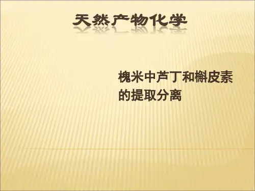槐米中芦丁和槲皮素的提取分离