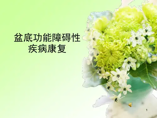 盆底肌康复PPT幻灯片课件
