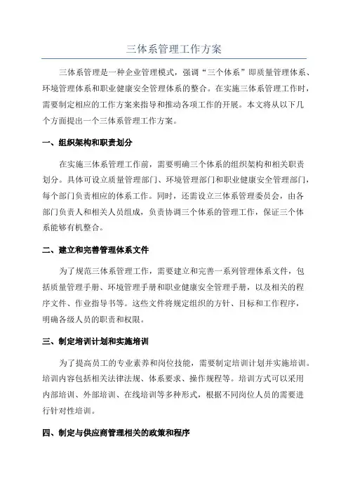 三体系管理工作方案