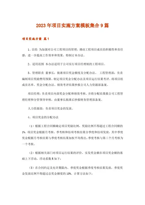 2023年项目实施方案模板集合9篇_3