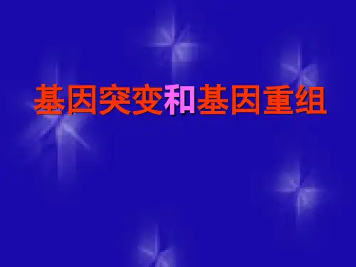 人教版高中生物必修2第5章第1节基因突变和基因重组 课件 (共27张PPT)