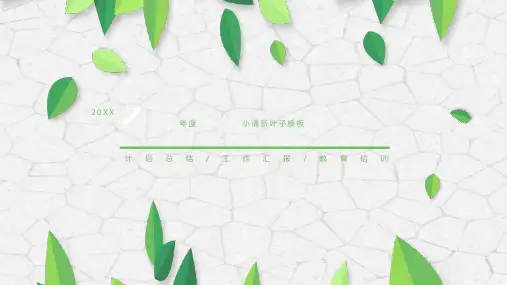 绿色植物手绘叶子夏文艺唯美课件答辩汇报 简约动态小清新PPT模板 (35)