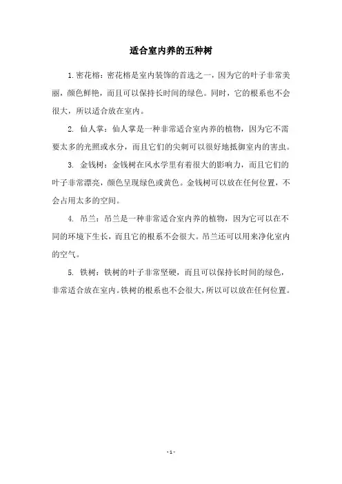 适合室内养的五种树