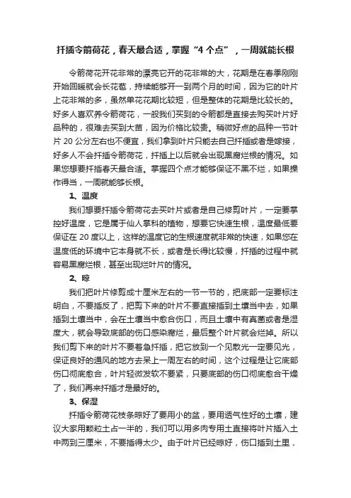 扦插令箭荷花，春天最合适，掌握“4个点”，一周就能长根