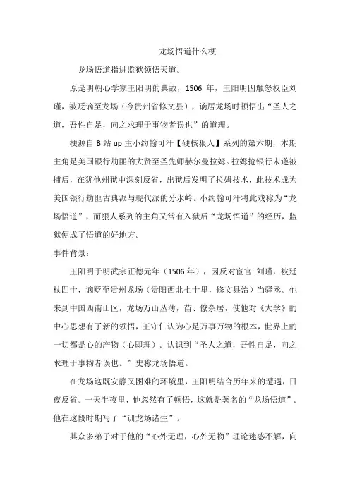 龙场悟道什么梗