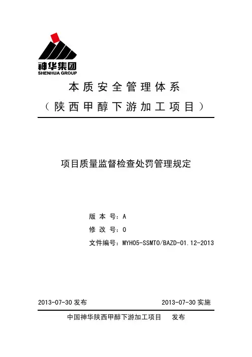 项目质量监督检查处罚管理规定