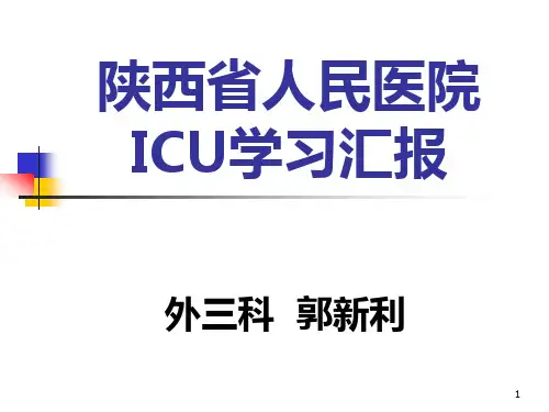 ICU学习总结PPT课件