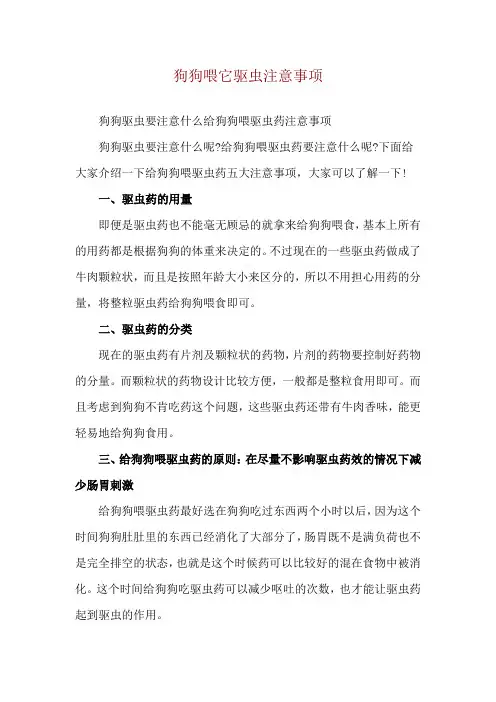 狗狗喂它驱虫注意事项