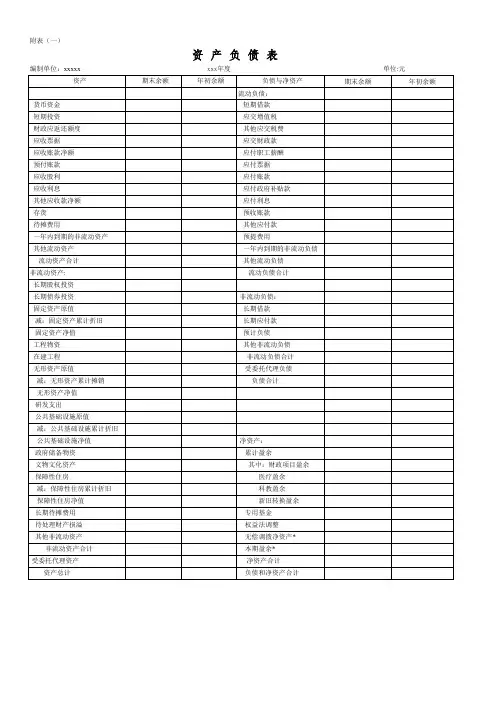 2022年最新医院会计报表模板