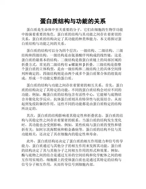 蛋白质结构与功能的关系