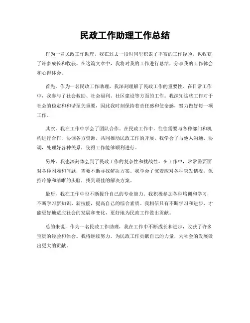 民政工作助理工作总结