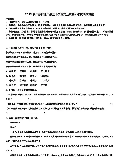2025届江苏宿迁市高三下学期第五次调研考试语文试题含解析