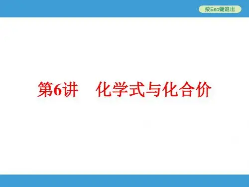 中考化学(人教版)总复习课件：第六讲 化学式与化合价