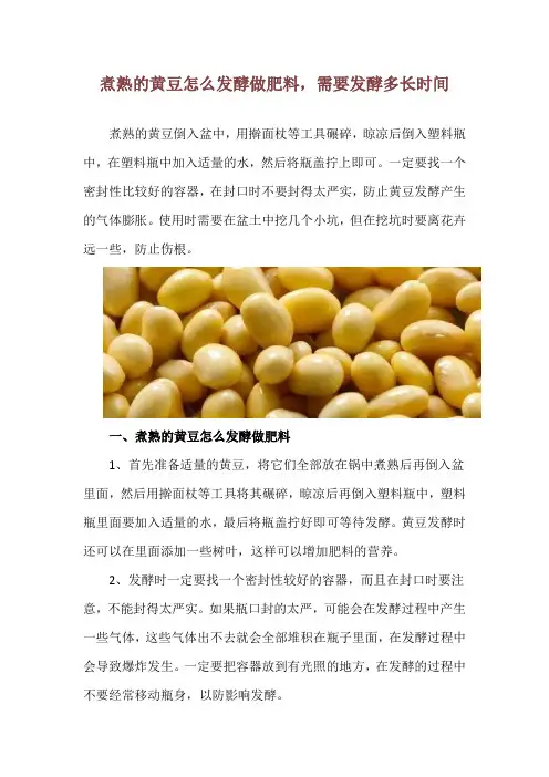 煮熟的黄豆怎么发酵做肥料,需要发酵多长时间