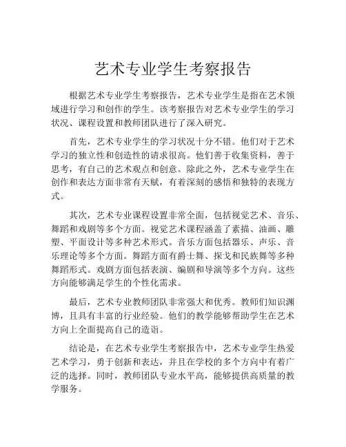 艺术专业学生考察报告