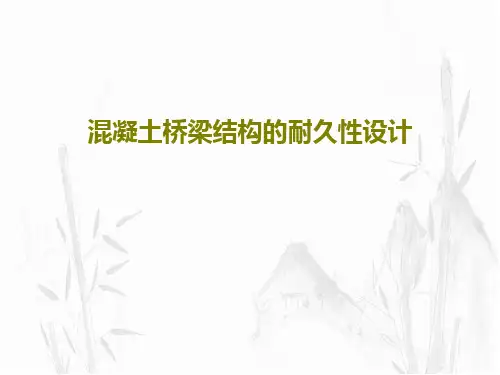 混凝土桥梁结构的耐久性设计PPT共26页