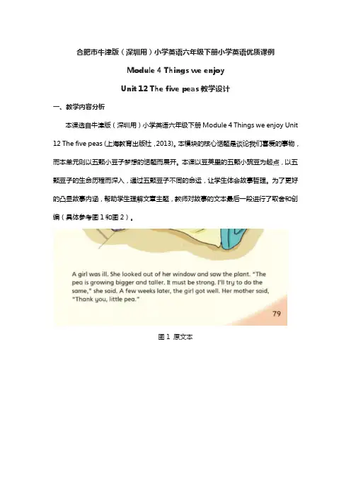 合肥市牛津版(深圳用)小学英语六年级下册小学英语优质课例