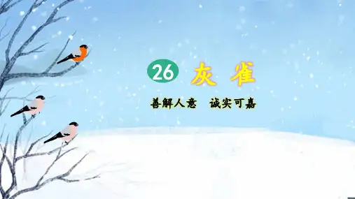 部编版三年级语文上册第26课《灰雀》精品课件