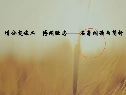 2018届高考语文二轮复习江苏专用课件 文科加考内容附加题增分突破二
