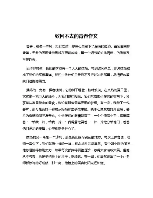 致回不去的青春作文