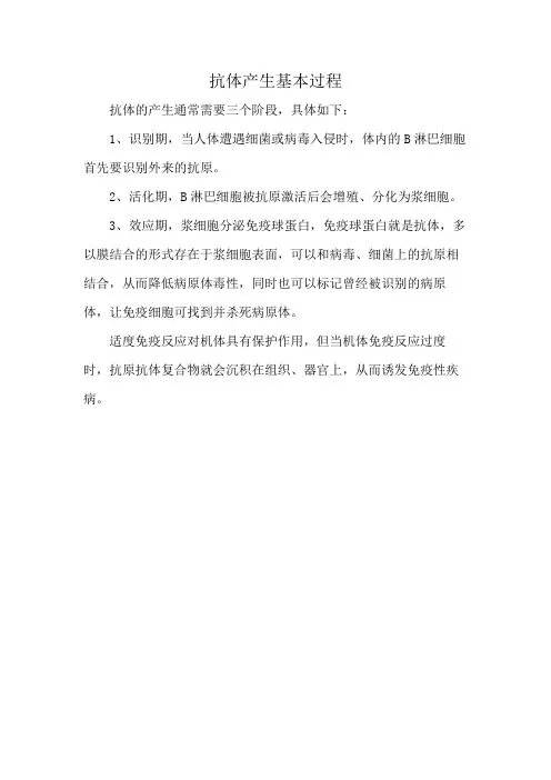 抗体产生基本过程