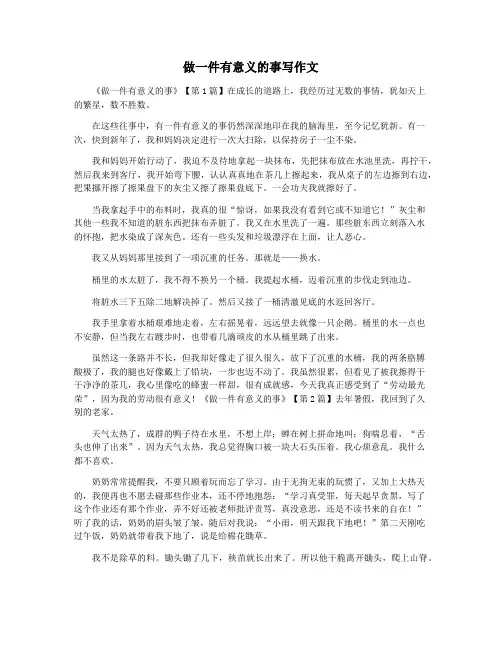 做一件有意义的事写作文