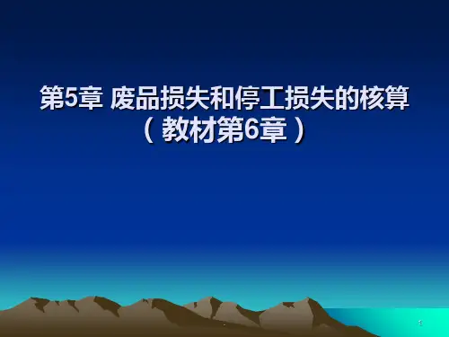 废品损失和停工损失PPT课件
