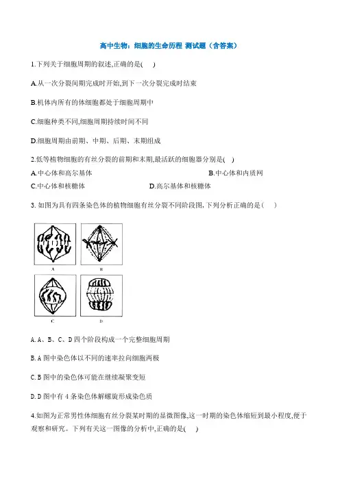 高中生物：细胞的生命历程 测试题(含答案)