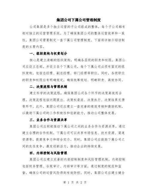 集团公司下属公司管理制度