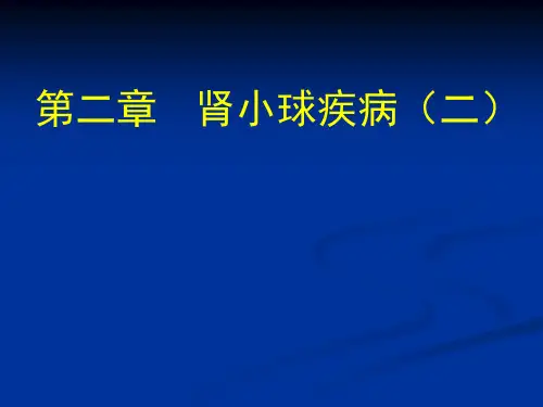 内科学：肾小球疾病(二)