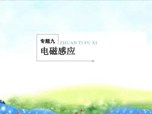 2013年高考物理二轮典型例题讲解(知识点归纳+例题)《专题9电磁感应》课件