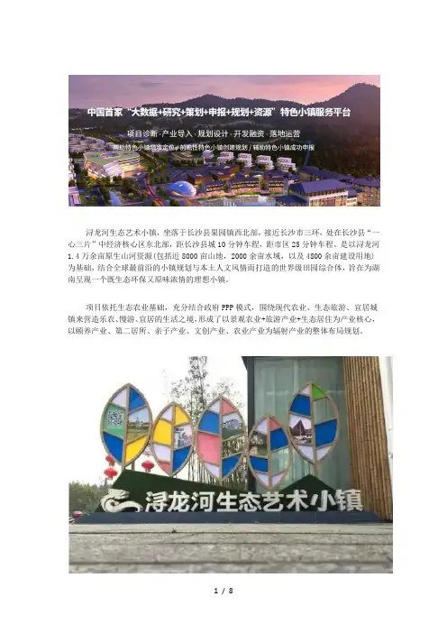 特色小镇湖南浔龙河生态艺术小镇案例分析