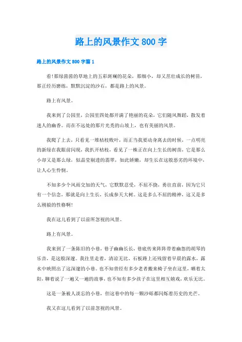 路上的风景作文800字