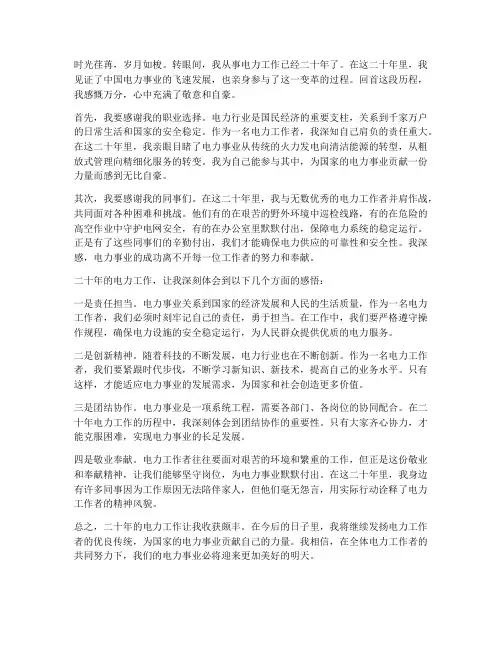 电力工作二十年感想