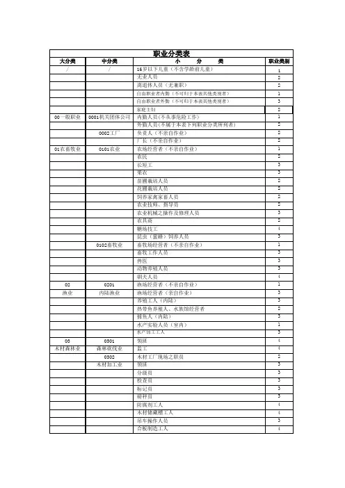 职业分类表