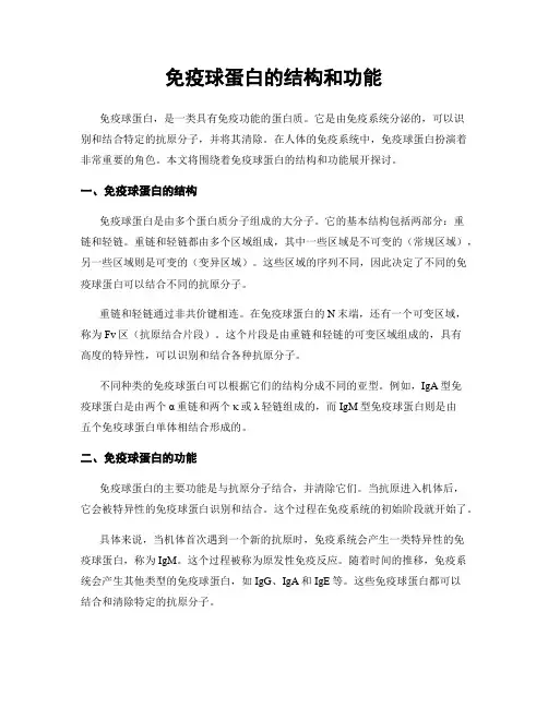 免疫球蛋白的结构和功能