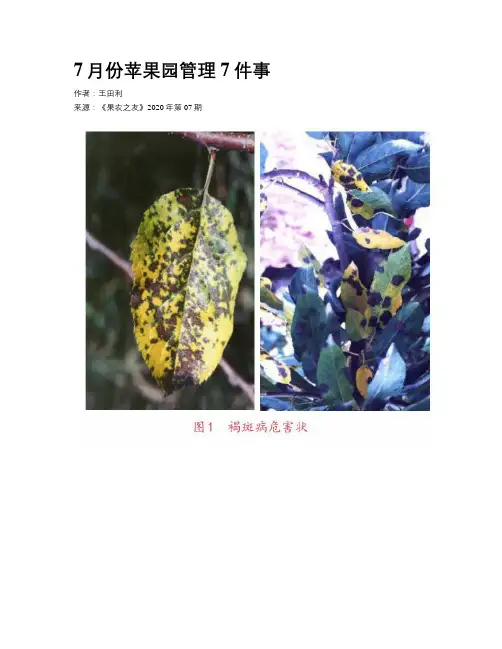 7月份苹果园管理7件事