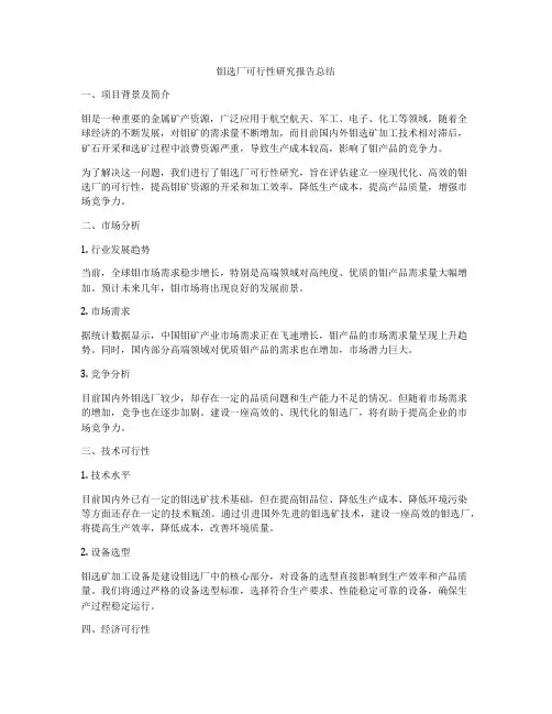 钼选厂可行性研究报告总结