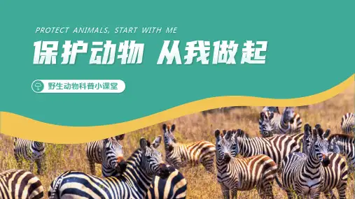 节日主题班会课件 保护动物 从我做起
