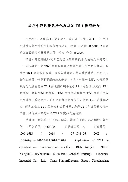 应用于环己酮氨肟化反应的TS-1研究进展1要点