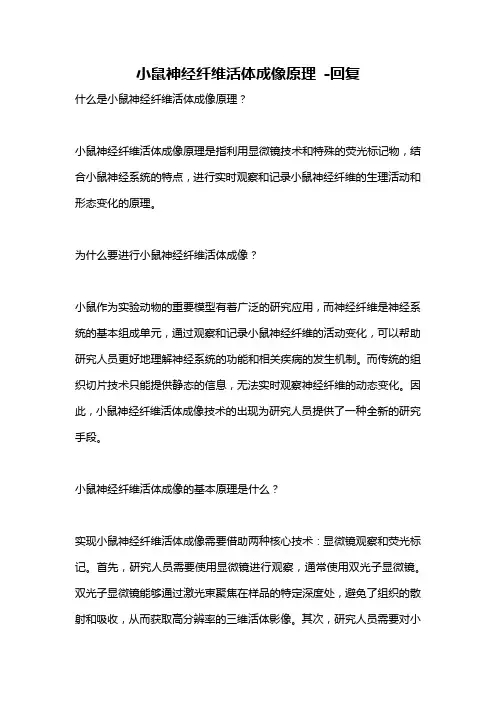 小鼠神经纤维活体成像原理 -回复