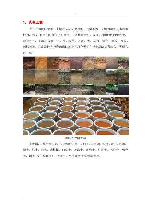 不同颜色的土壤