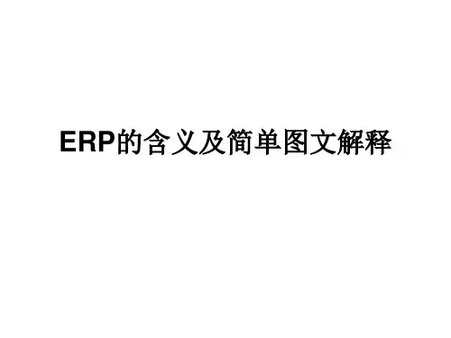 ERP含义(图文解释)