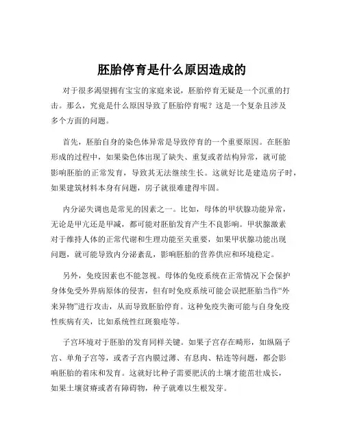 胚胎停育是什么原因造成的