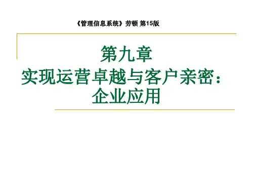 Laudon-第15版-第9章-中文