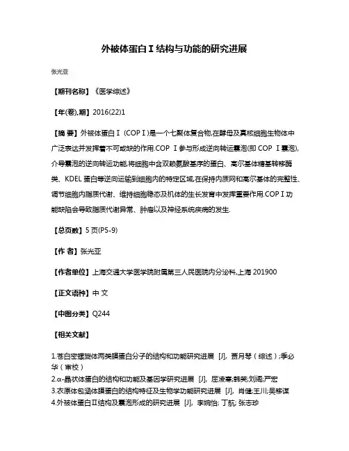 外被体蛋白Ⅰ结构与功能的研究进展