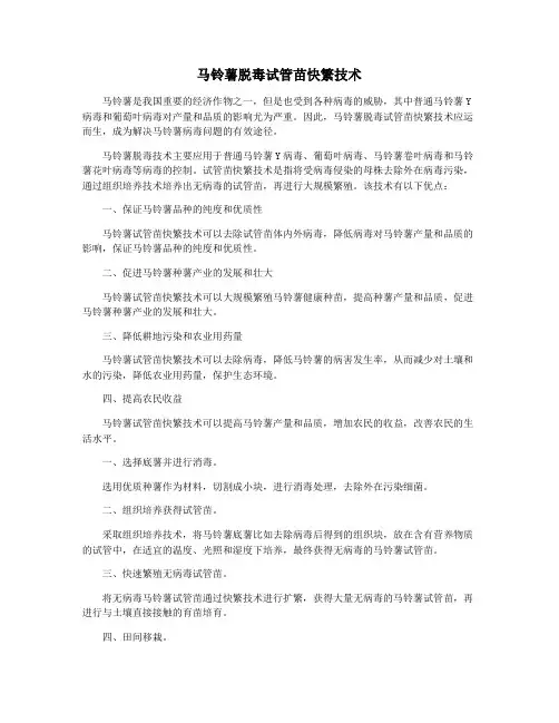 马铃薯脱毒试管苗快繁技术