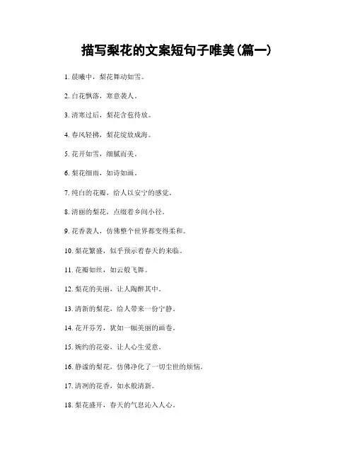 描写梨花的文案短句子唯美(精选2篇)
